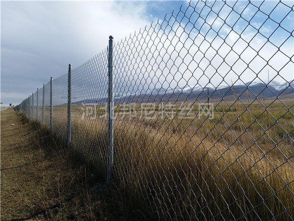 編織網(wǎng)護(hù)欄