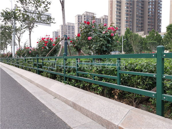 道路綠化護(hù)欄